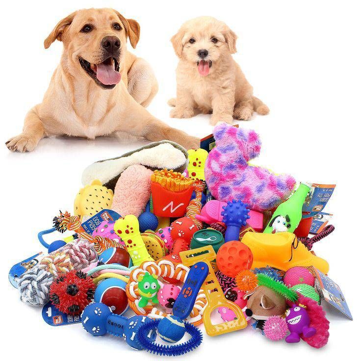 Pet Toys